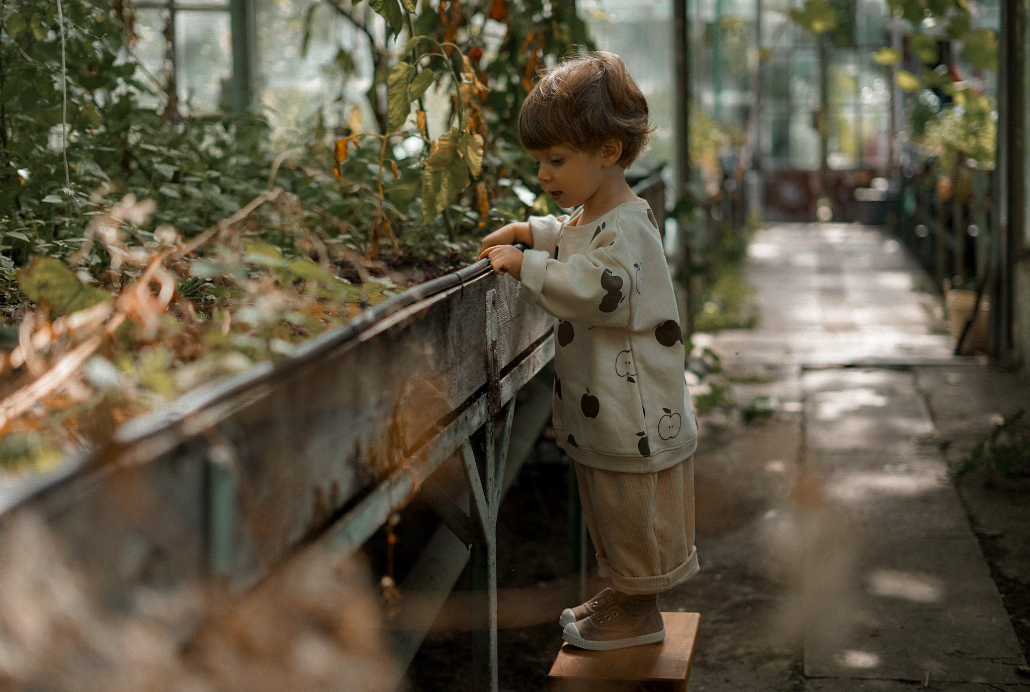 Time for harvest. Kampania OrganicZoo AW22. Foto: Magda Krzywosińska