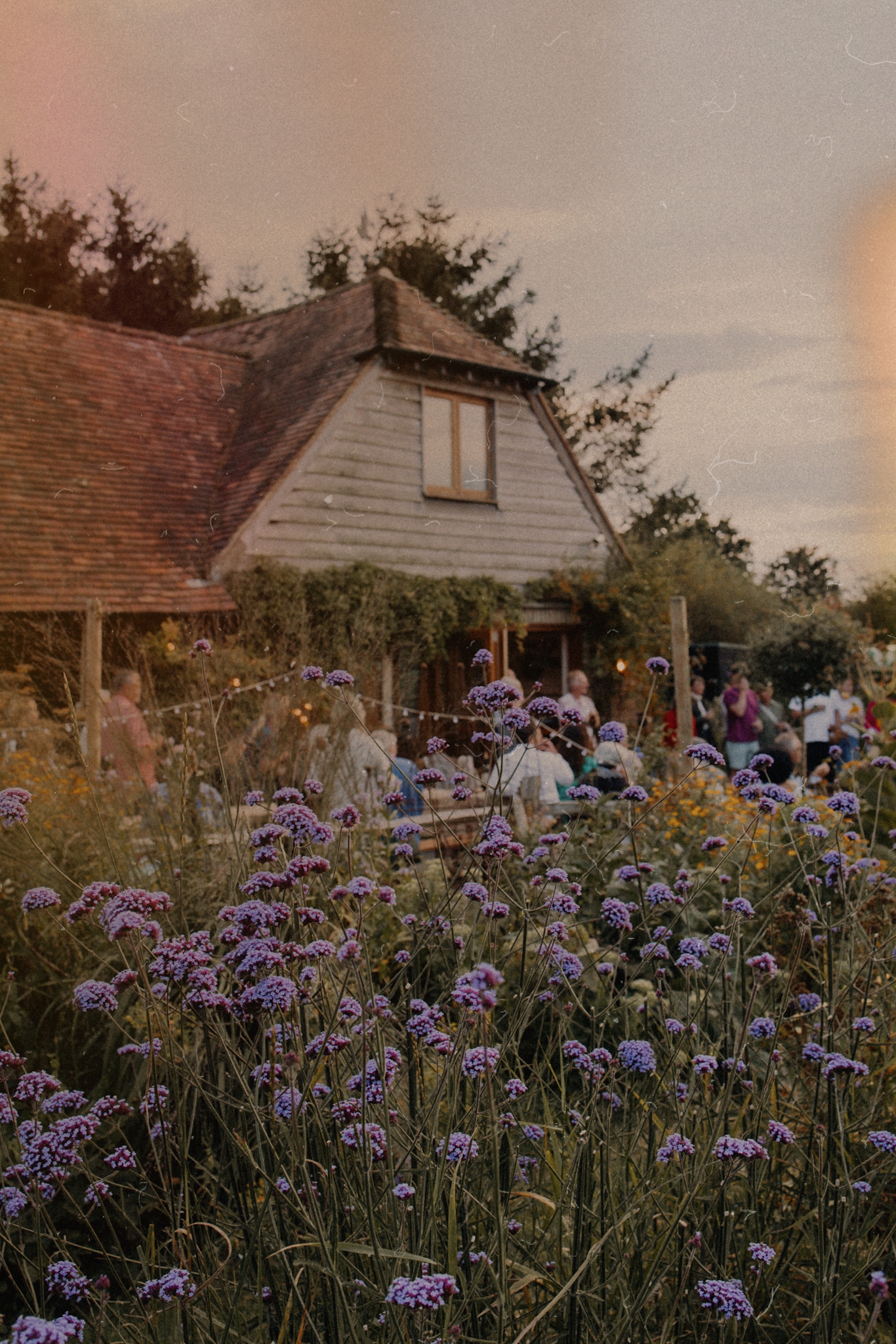 The Sussex Peasant • Pitfield Barn Letnie przyjęcie na farmie