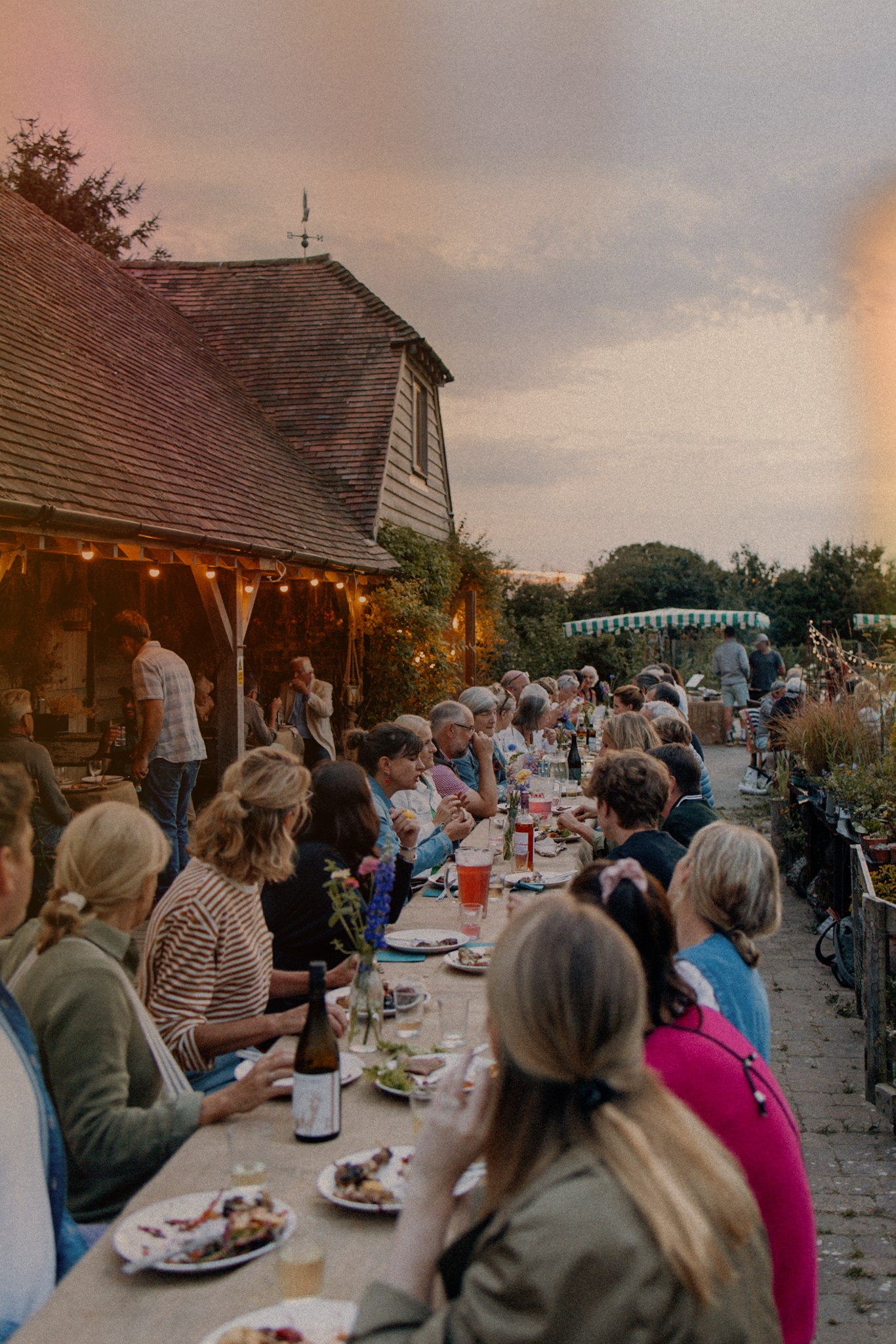 The Sussex Peasant • Pitfield Barn Letnie przyjęcie na farmie